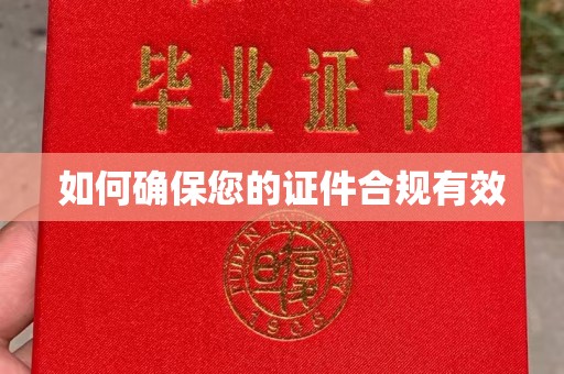 南港如何确保您的证件合规有效