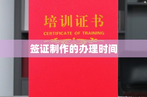 南港签证制作的办理时间