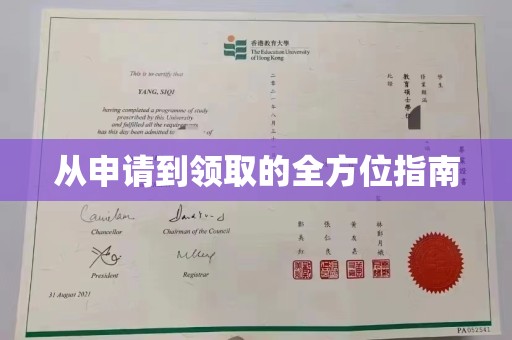 南港从申请到领取的全方位指南