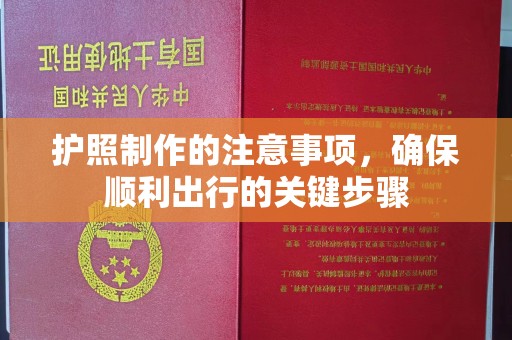 南港护照制作的注意事项，确保顺利出行的关键步骤