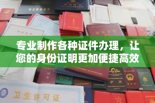 南港专业制作各种证件办理，让您的身份证明更加便捷高效