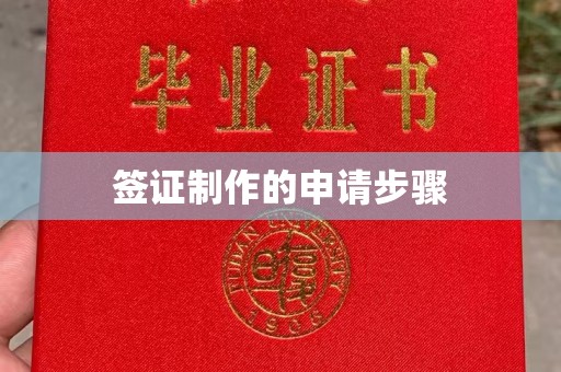 南港签证制作的申请步骤