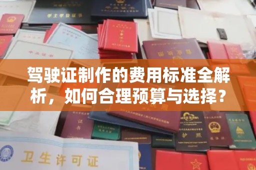 南港驾驶证制作的费用标准全解析，如何合理预算与选择？
