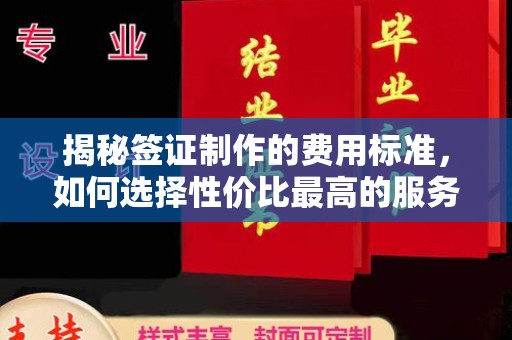 南港揭秘签证制作的费用标准，如何选择性价比最高的服务？