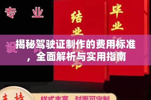 南港揭秘驾驶证制作的费用标准，全面解析与实用指南