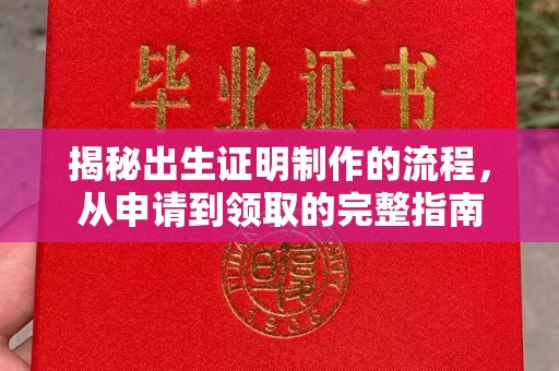 南港揭秘出生证明制作的流程，从申请到领取的完整指南