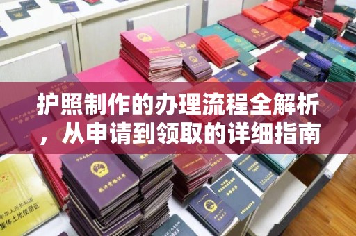 南港护照制作的办理流程全解析，从申请到领取的详细指南