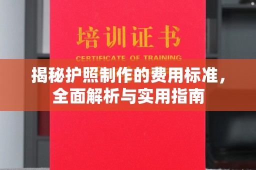南港揭秘护照制作的费用标准，全面解析与实用指南