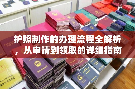 南港护照制作的办理流程全解析，从申请到领取的详细指南