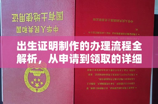 南港出生证明制作的办理流程全解析，从申请到领取的详细指南