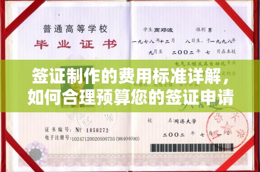 南港签证制作的费用标准详解，如何合理预算您的签证申请成本