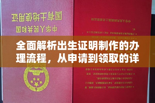 南港全面解析出生证明制作的办理流程，从申请到领取的详细指南
